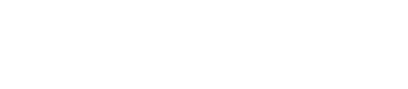 Americo logo